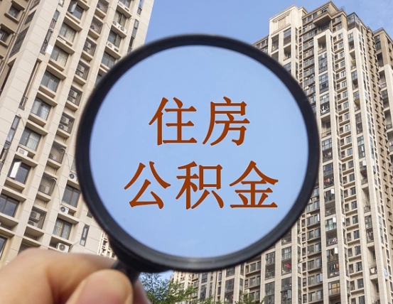 杞县退休后查不到公积金明细了吗（退休后公积金查询不到原因）